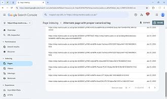 Click image for larger version

Name:	GoogleSearchAlternateCanonical.jpg
Views:	0
Size:	250.5 KB
ID:	557987